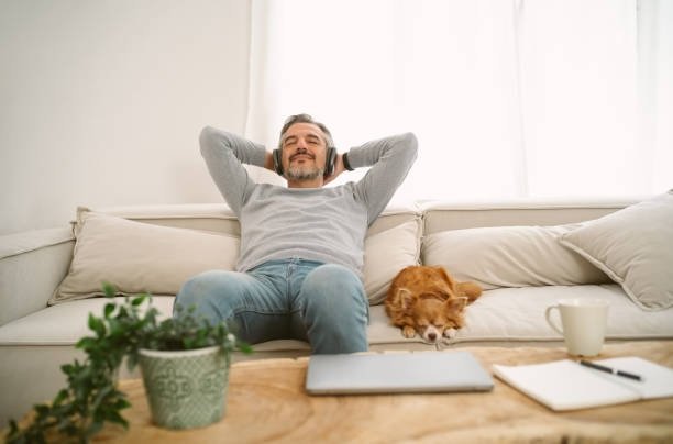 Pet Safety