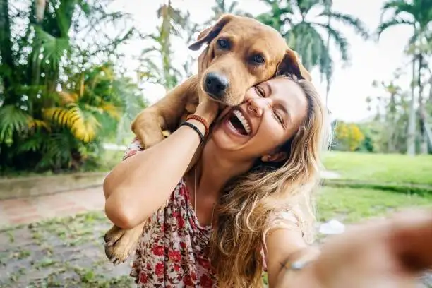 Pet skin care
