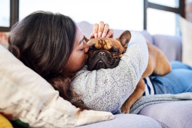 Clicker training for pets