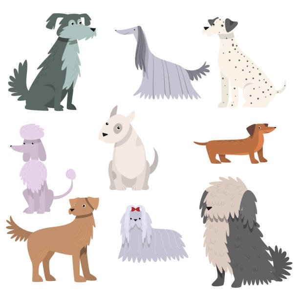 Domestic Animals